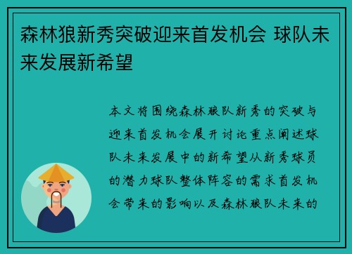 森林狼新秀突破迎来首发机会 球队未来发展新希望