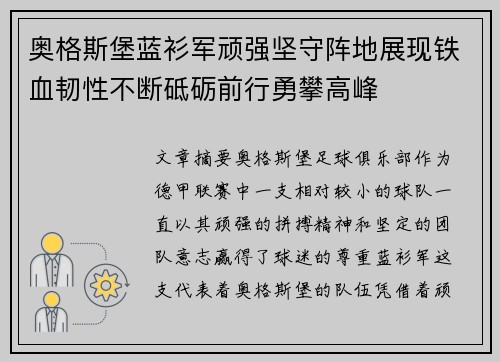 奥格斯堡蓝衫军顽强坚守阵地展现铁血韧性不断砥砺前行勇攀高峰